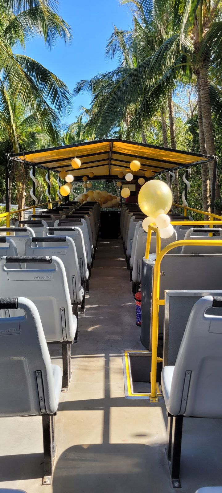 cancun globos en el bus